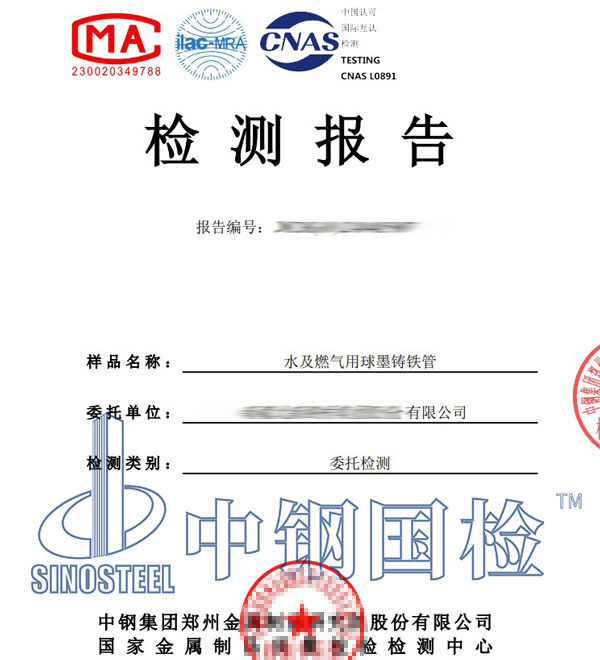 長輸管道檢測報(bào)告