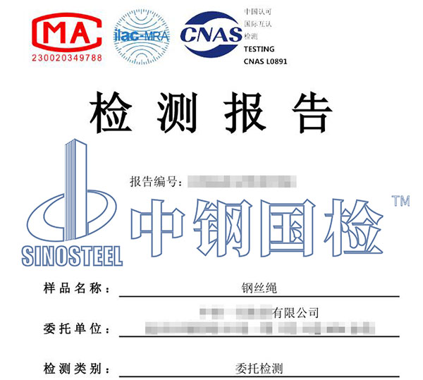 鋼絲繩失效分析報(bào)告